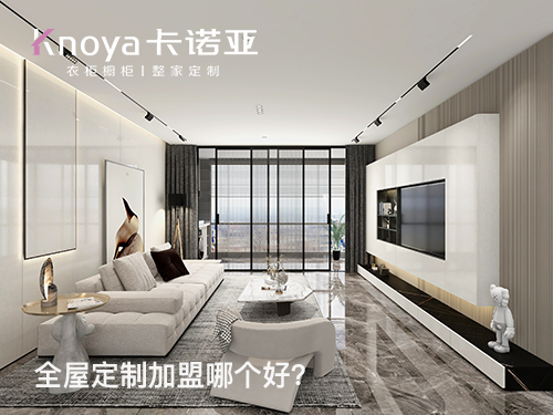 卡諾亞和索菲亞哪個更好？如何選擇全屋定制品牌？